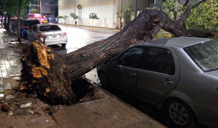 Por la tormenta, cayó un árbol y aplastó a un auto en Córdoba • Canal C