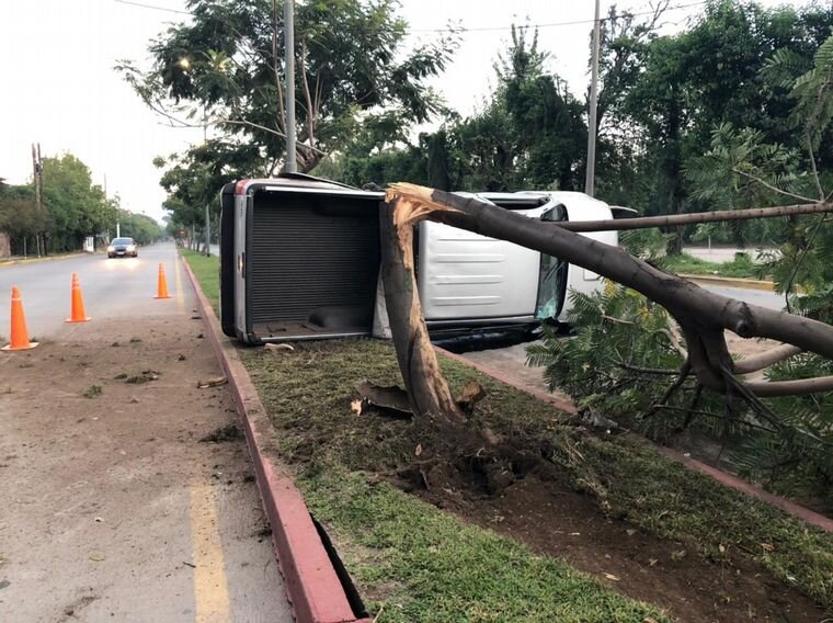 Una camioneta volcó y quebró un árbol Av. Ricardo Rojas • Canal C
