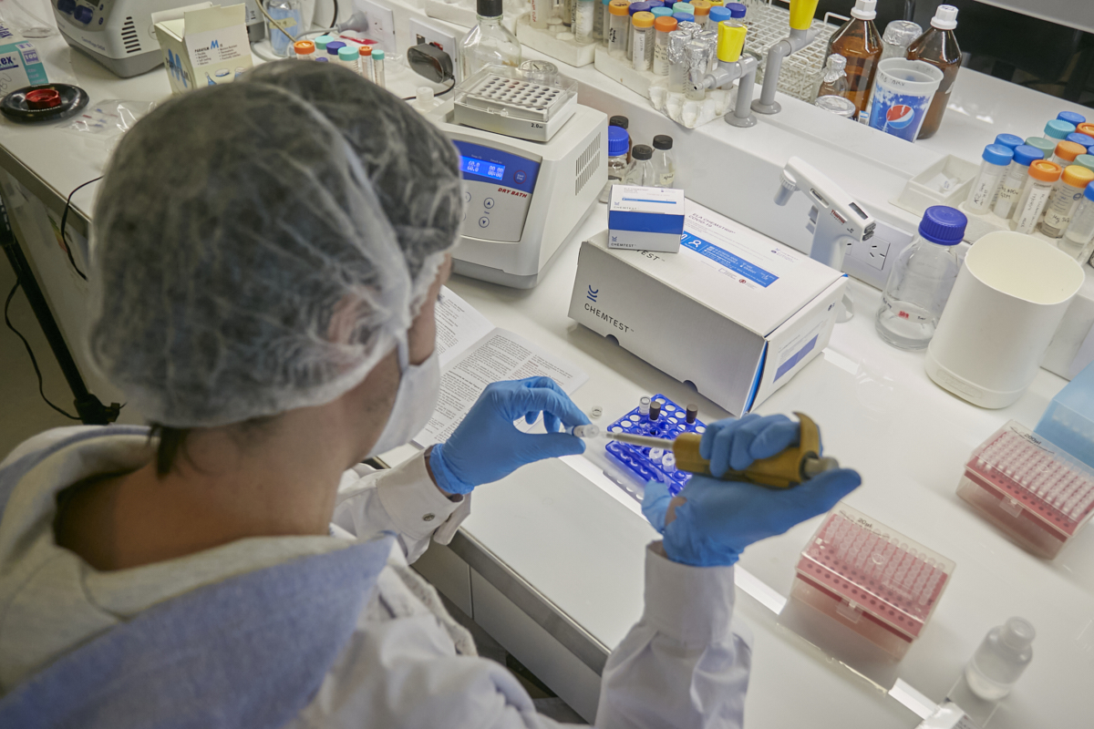 Presentan un kit de testeo de antígenos que se producirá en el país • Canal C