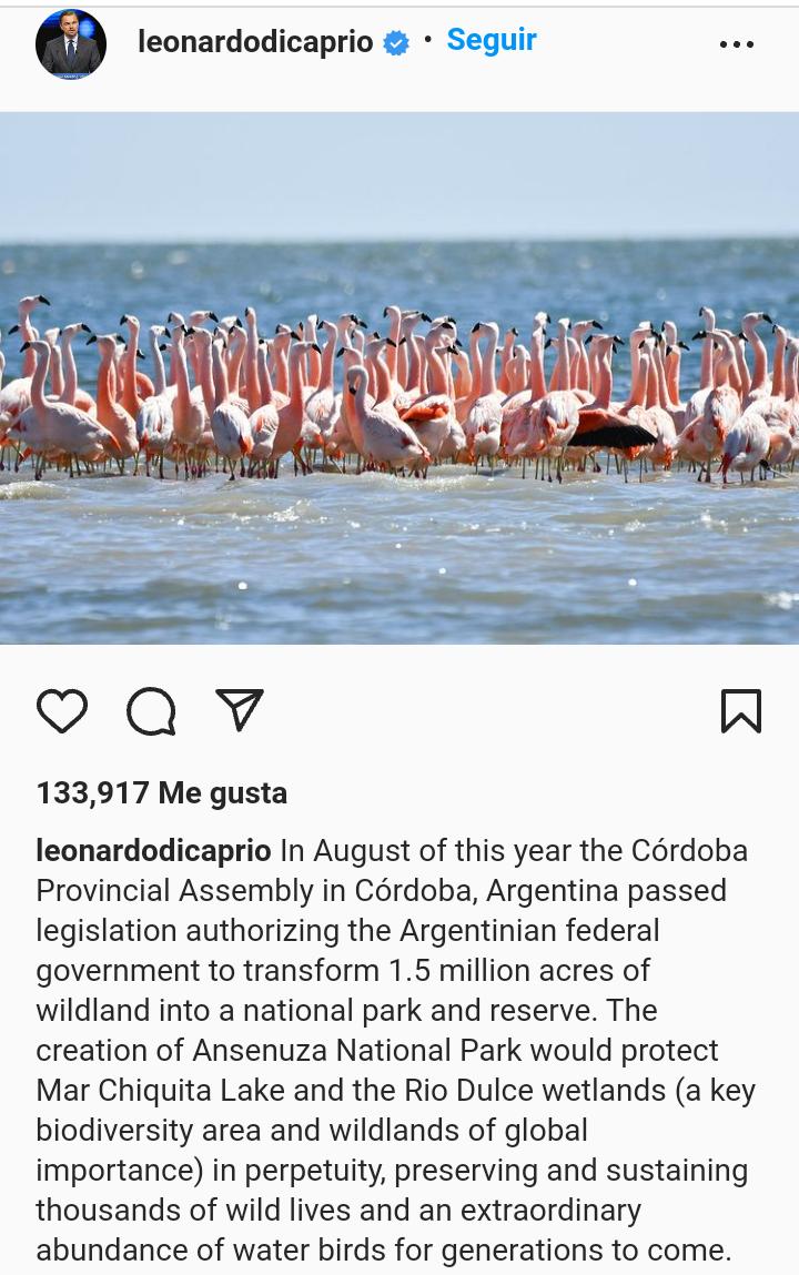 Leonardo DiCaprio felicitó a Córdoba por el Parque Nacional Ansenuza • Canal C
