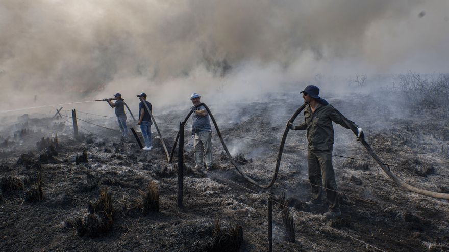Corrientes investiga 75 denuncias por incendios intencionales • Canal C