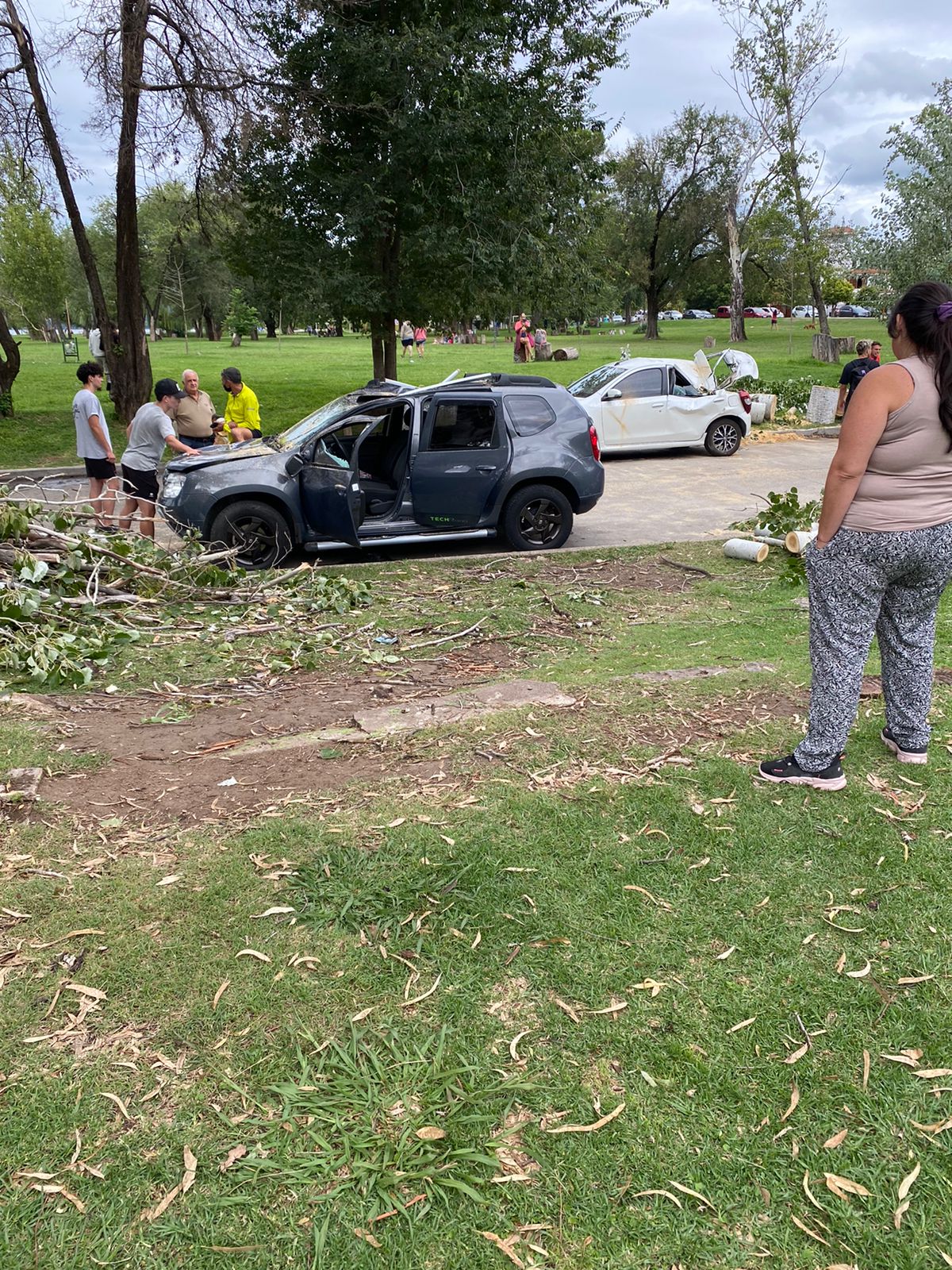 Carlos Paz: se cayó un árbol y aplastó a dos autos • Canal C