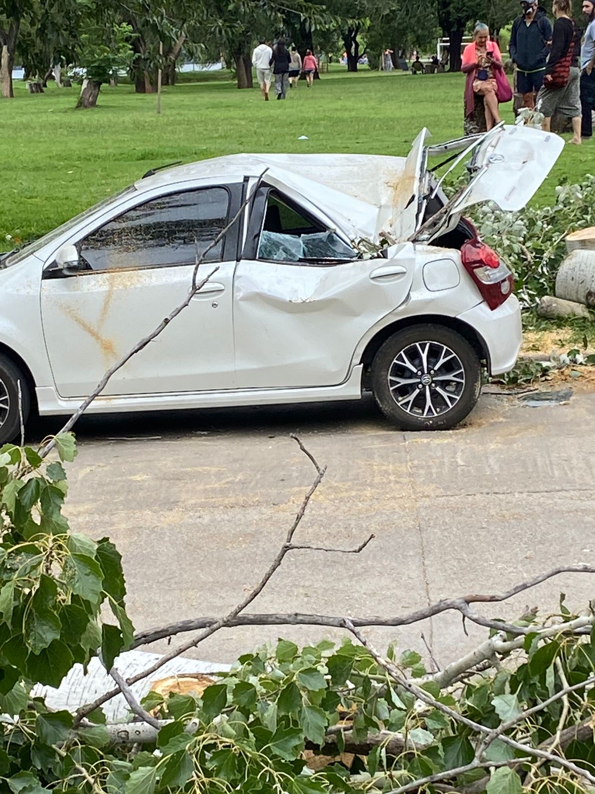 Carlos Paz: se cayó un árbol y aplastó a dos autos • Canal C