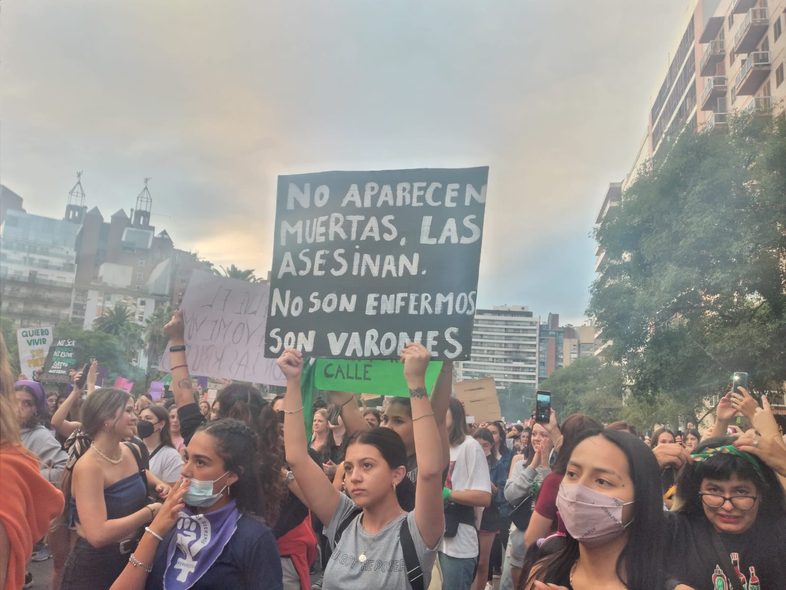 #8M: las fotos y carteles de una marcha por la igualdad en Córdoba • Canal C