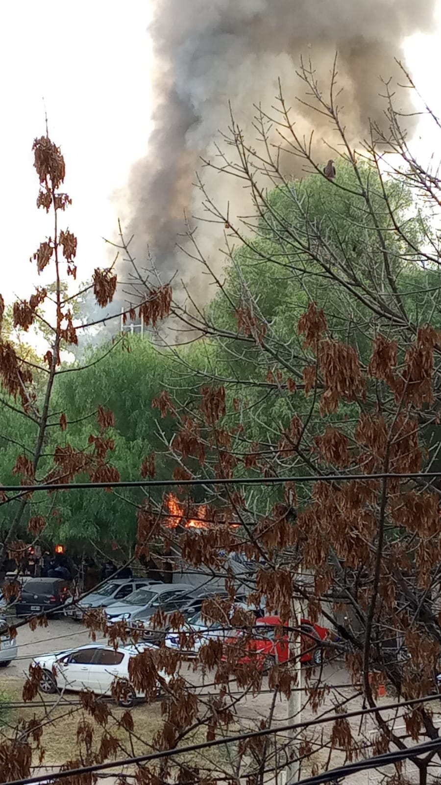 Incendio trágico en un asentamiento de Barrio "La Tablita" • Canal C