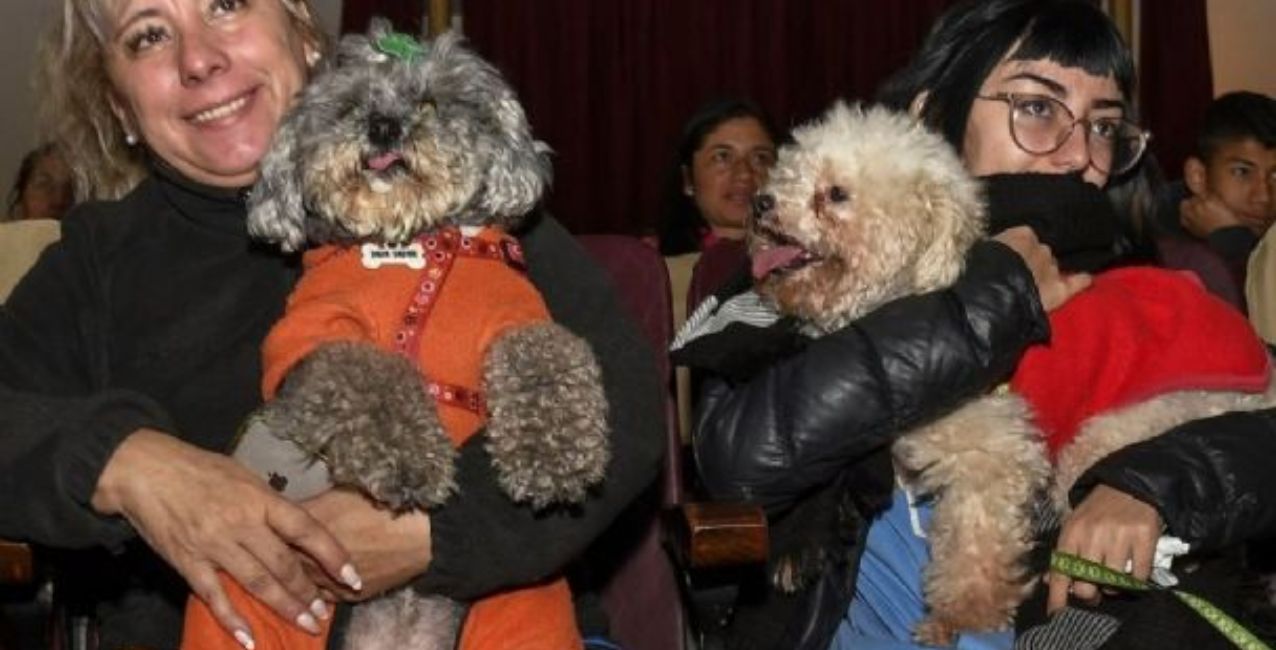 Se realizó la primera función de cine para perros de Sudamérica en el país • Canal C