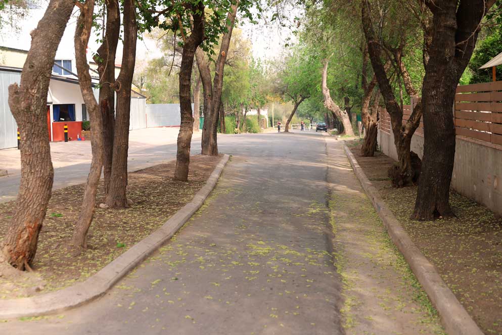 Schiaretti habilitó obras de pavimentación en Villa Las Rosas • Canal C