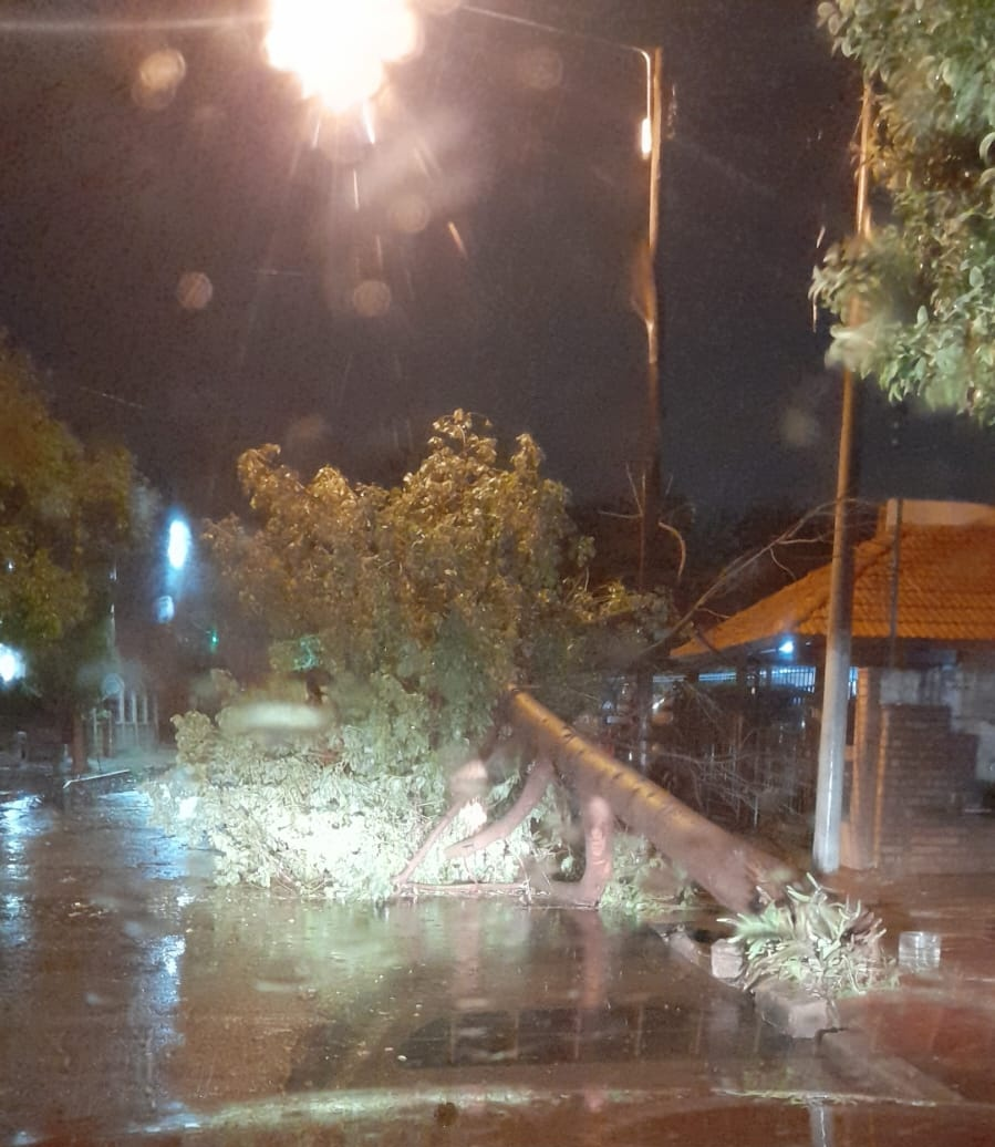 La tormenta provocó destrozos en distintos puntos de Córdoba • Canal C
