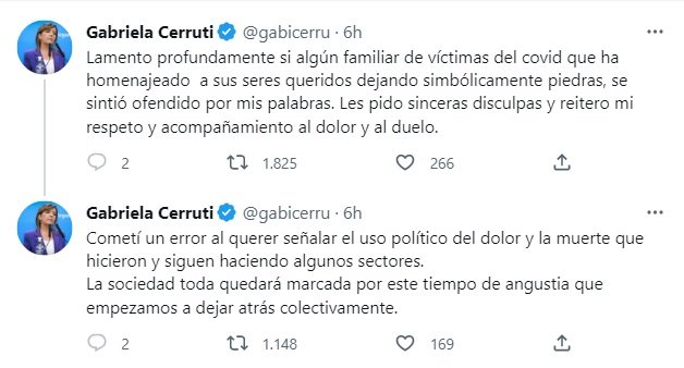 Cerruti reconoció su exabrupto y pidió "sinceras disculpas" • Canal C