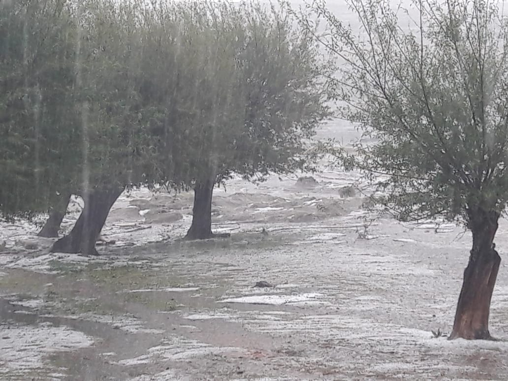 Llegó la lluvia y el granizo a Córdoba • Canal C