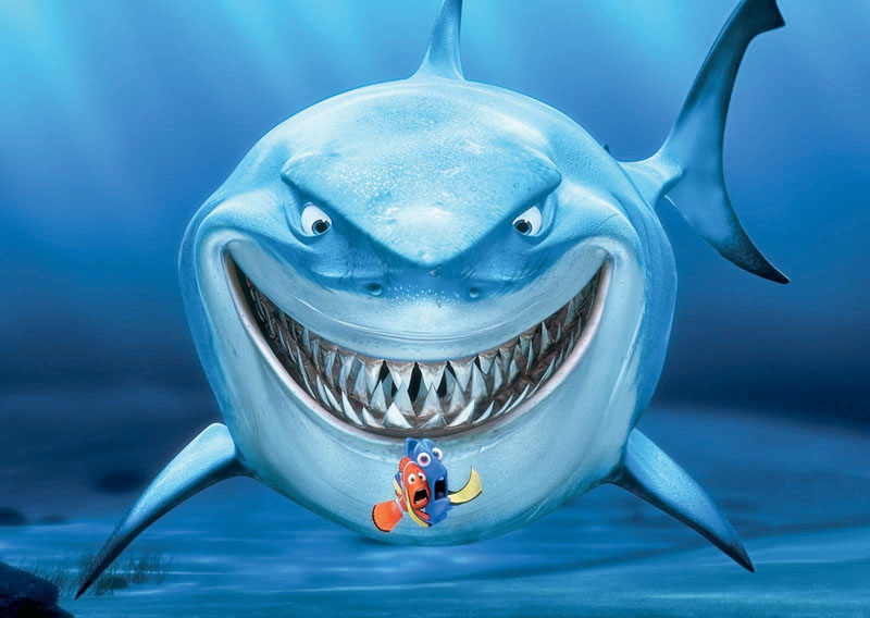 Un tiburón con una "sonrisa" que aterra y enternece a internet • Canal C