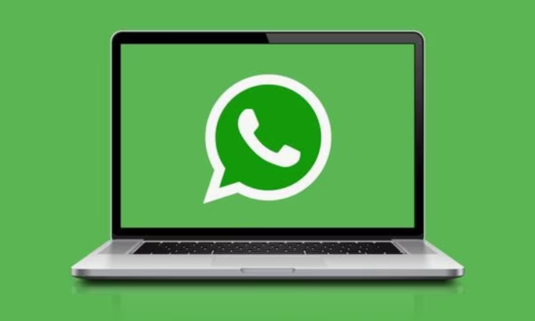 La Nueva Función Que Llega A Whatsapp Web • Canal C 2670