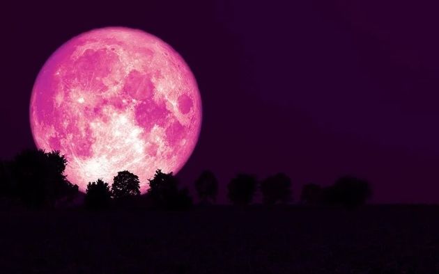 Súper luna rosa en Argentina: cuándo y dónde se podrá ver • Canal C
