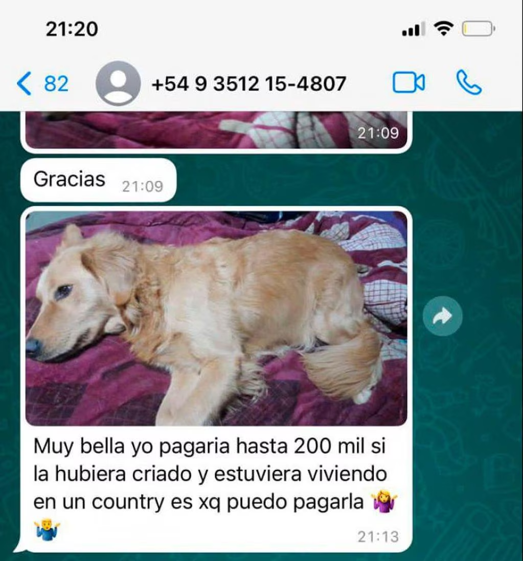 Recuperaron a Moana, la perra que le robaron a Juanita • Canal C