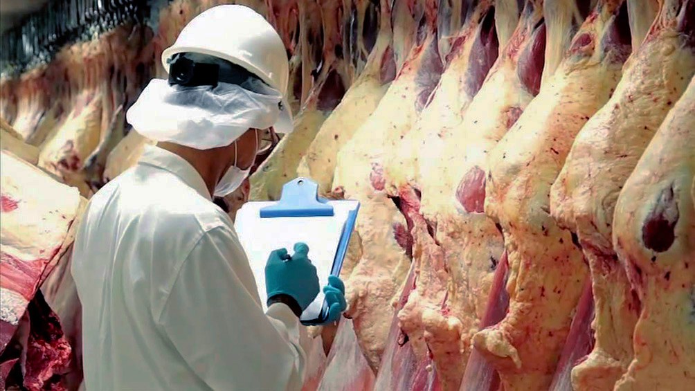 Las exportaciones de carne aumentaron un 9% en el primer semestre, pero el precio cayó un 27,5% • Canal C