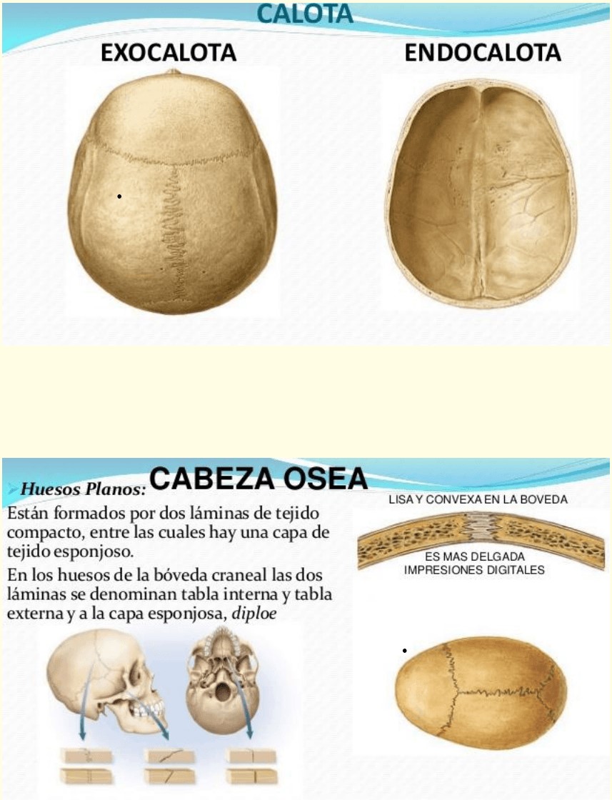 Macabro hallazgo: encontraron 10 fragmentos de cráneos en el río San Antonio de Arredondo • Canal C