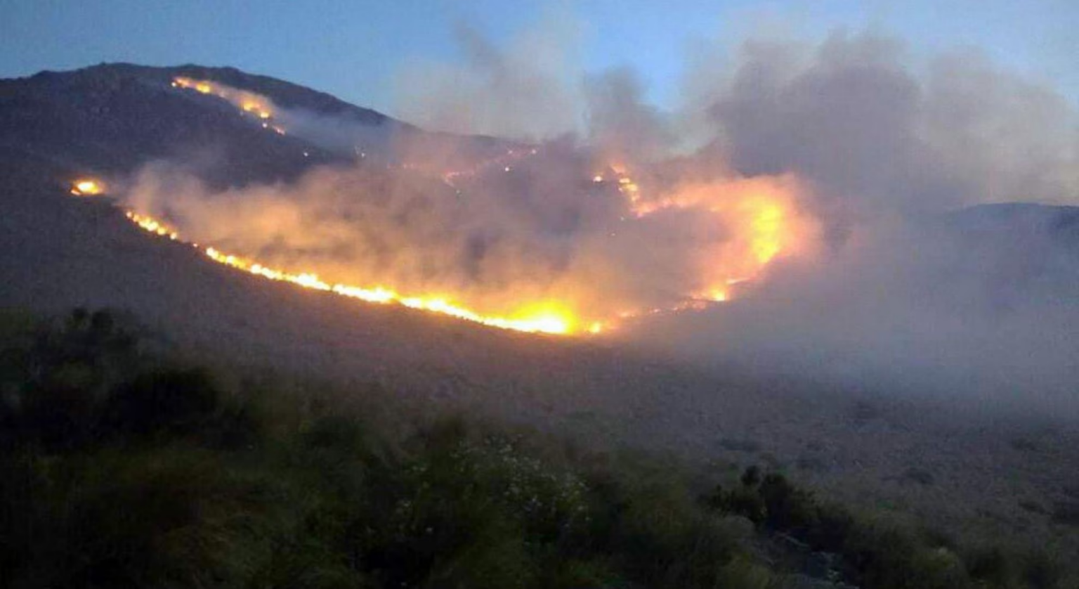 Incendio forestal en el norte de Córdoba • Canal C
