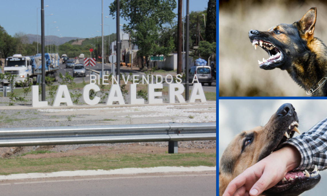 Un niño de 8 años fue atacado por perros en La Calera