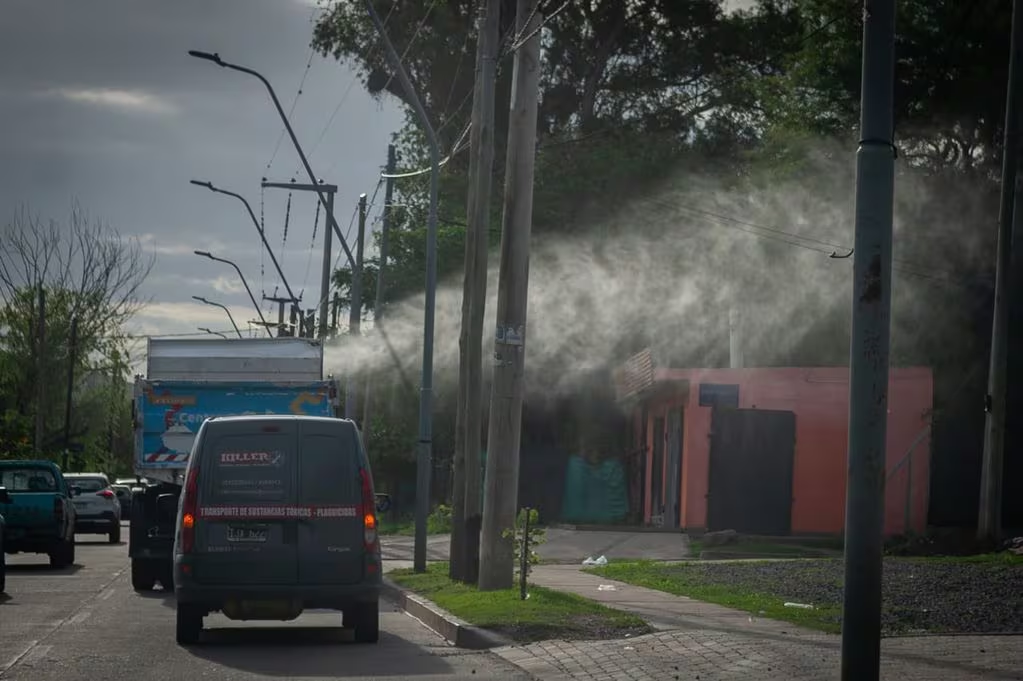Dengue en Córdoba: 148 casos importados y 17 autóctonos • Canal C