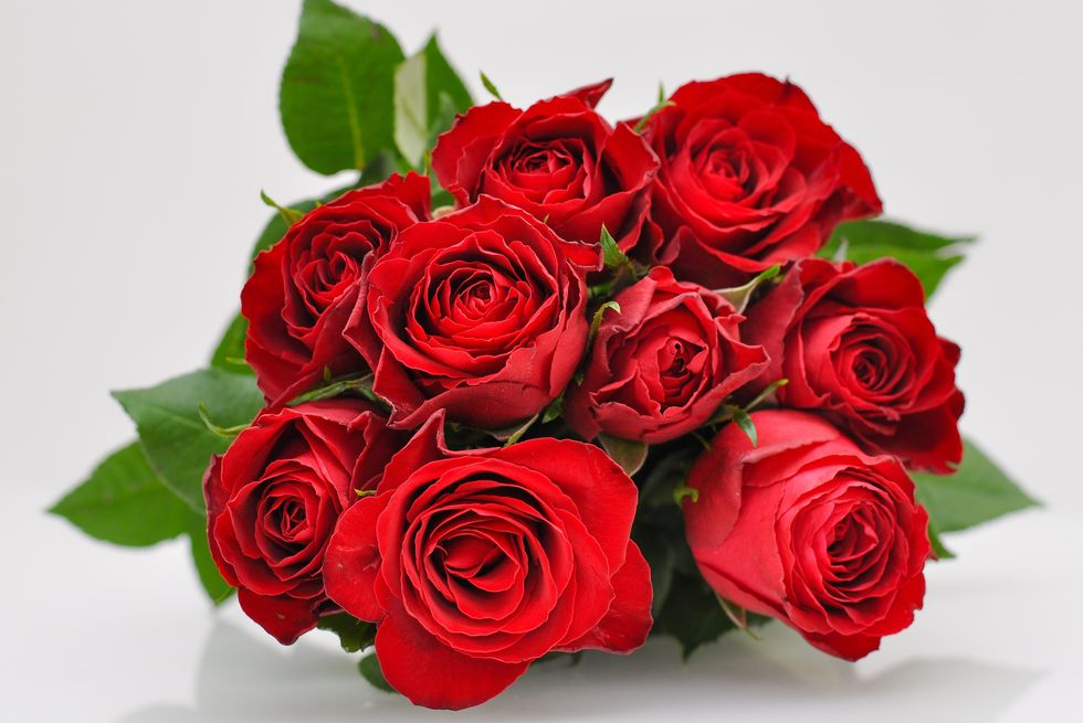 San Valentín: significado del color de las rosas • Canal C