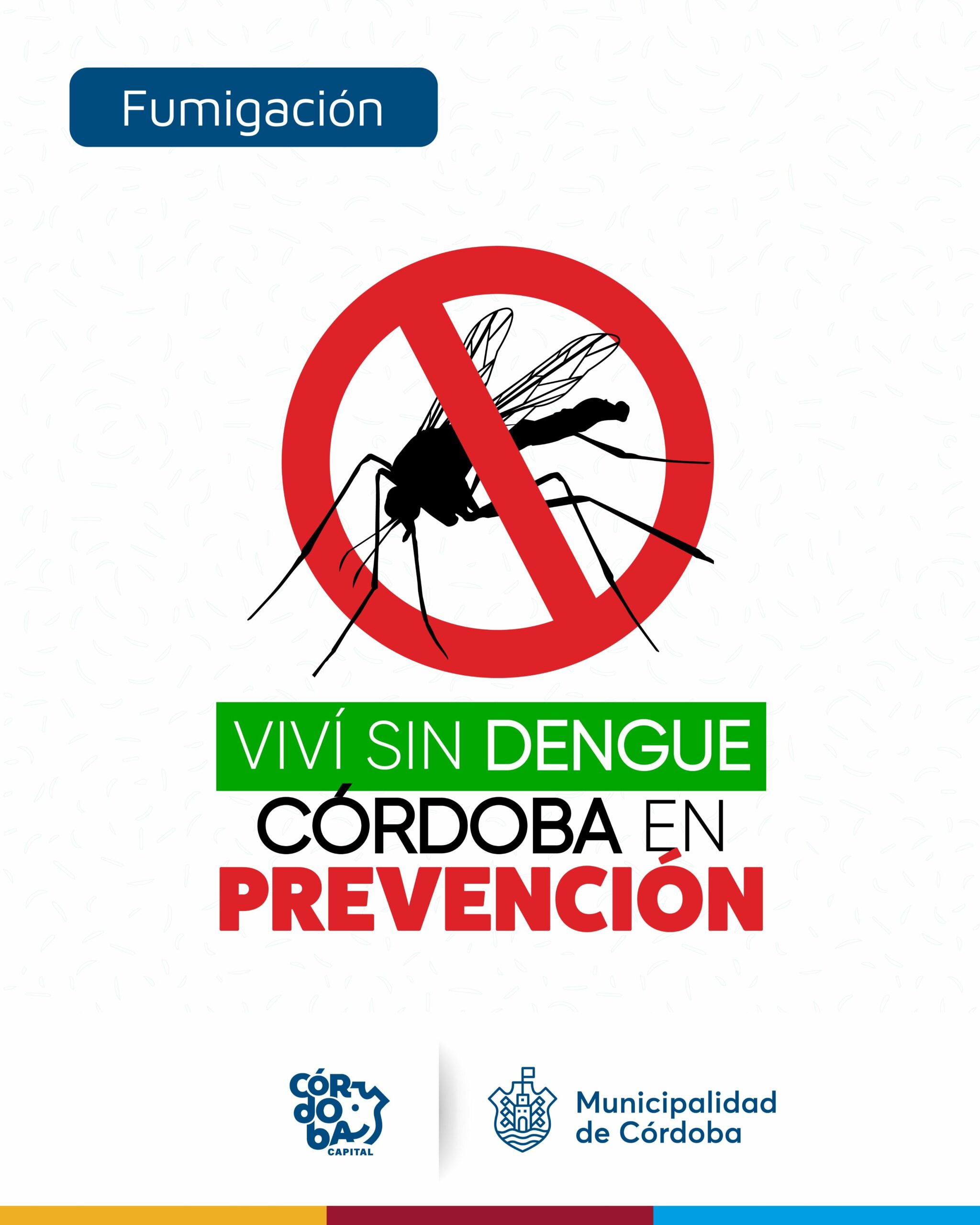 Dengue: Córdoba acumula 2.668 casos y 2 muertes • Canal C
