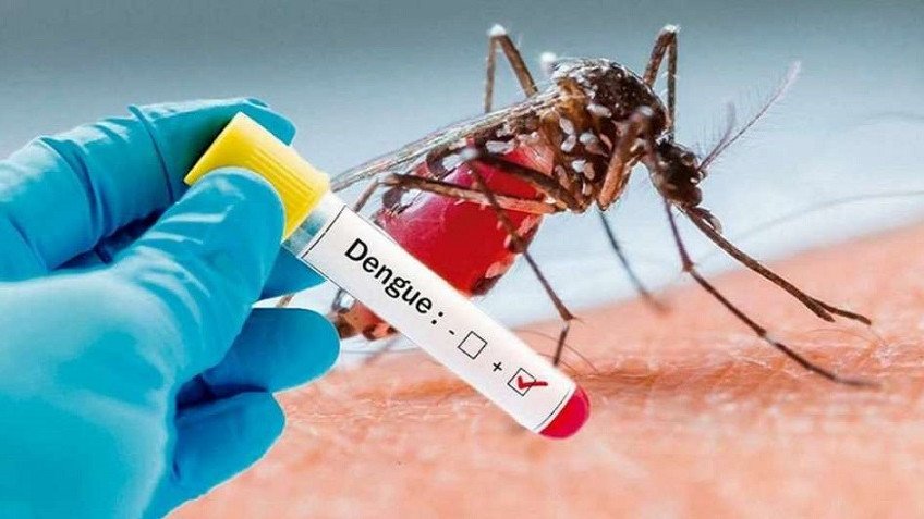 Verónica Pepino: "En San Francisco el brote de dengue se adelantó 8 semanas" • Canal C