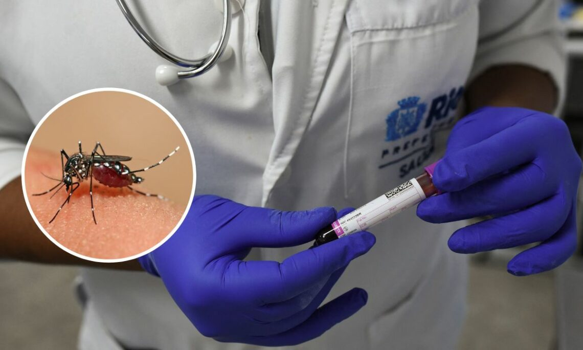 Registraron cinco nuevas muertes por dengue en Córdoba, San Luis y Santa Fe • Canal C