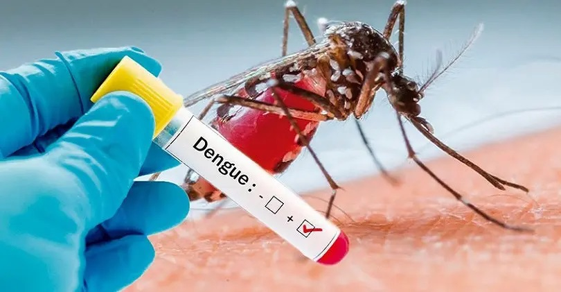 Cómo diferenciar los síntomas del COVID de los del dengue • Canal C