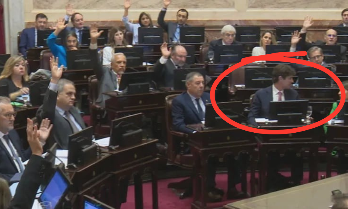 Martín Lousteau - El gesto con el que se volvió viral al votar el aumento del 170% en los sueldos en el Senado