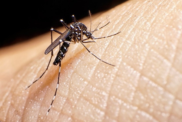 Campaña contra el dengue: en qué barrios fumigarán y harán descacharreo • Canal C