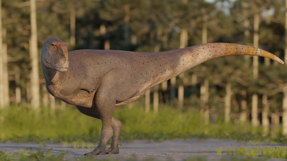 CONICET: descubren en Chubut un dinosaurio carnívoro que vivió hace 69 millones de años • Canal C