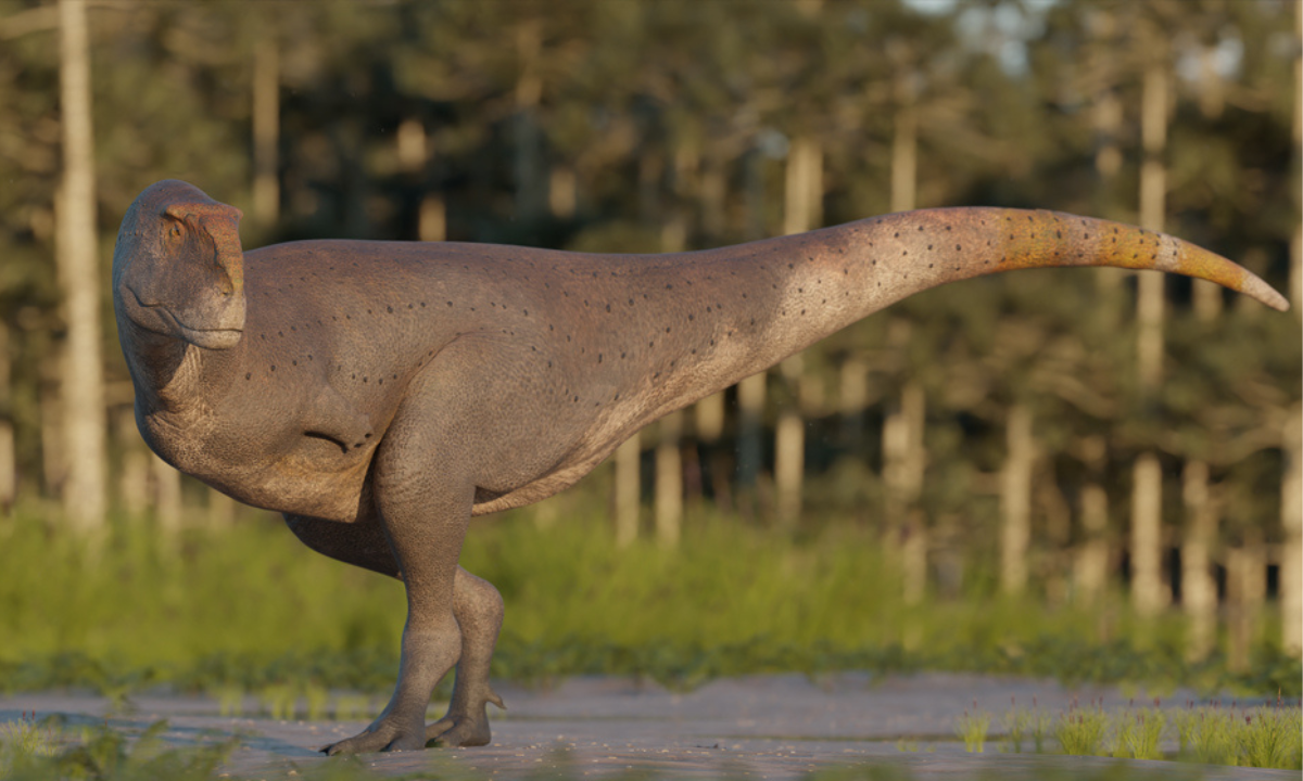 CONICET - descubren en Chubut un dinosaurio carnívoro que vivió hace 69 millones de años