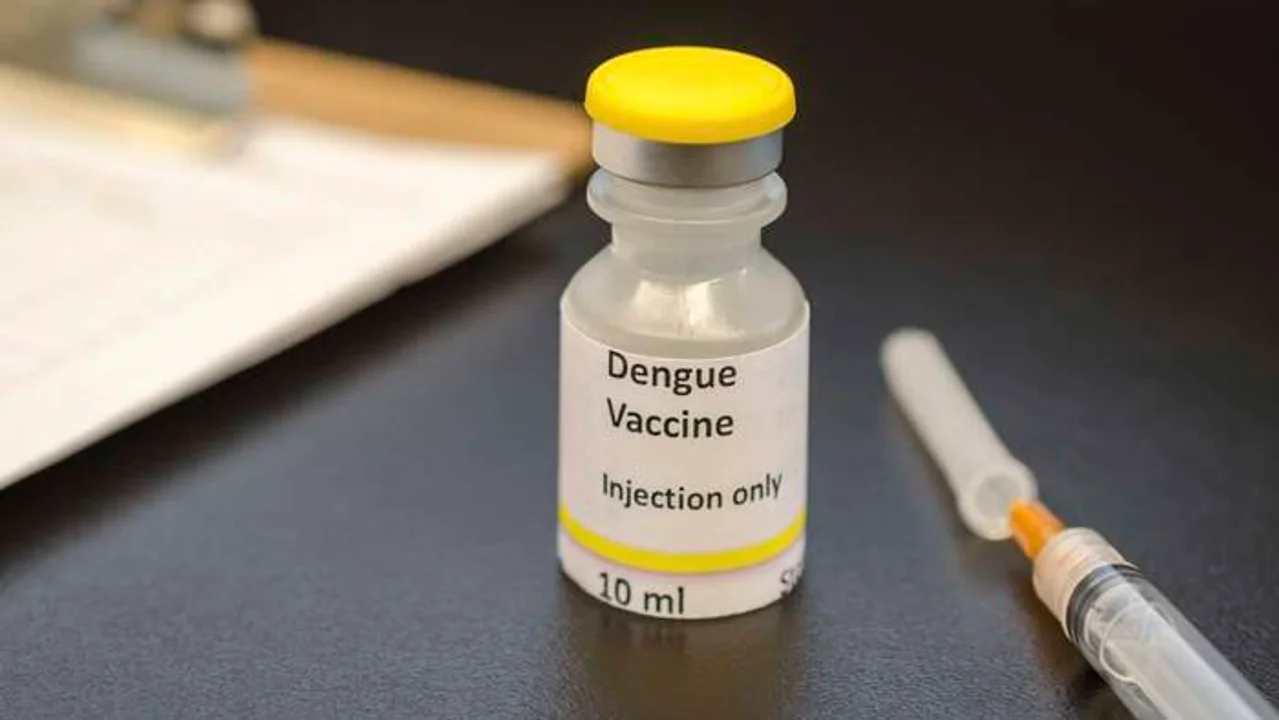 El Gobierno vacunará contra el dengue en zonas endémicas: a quiénes les corresponderá • Canal C