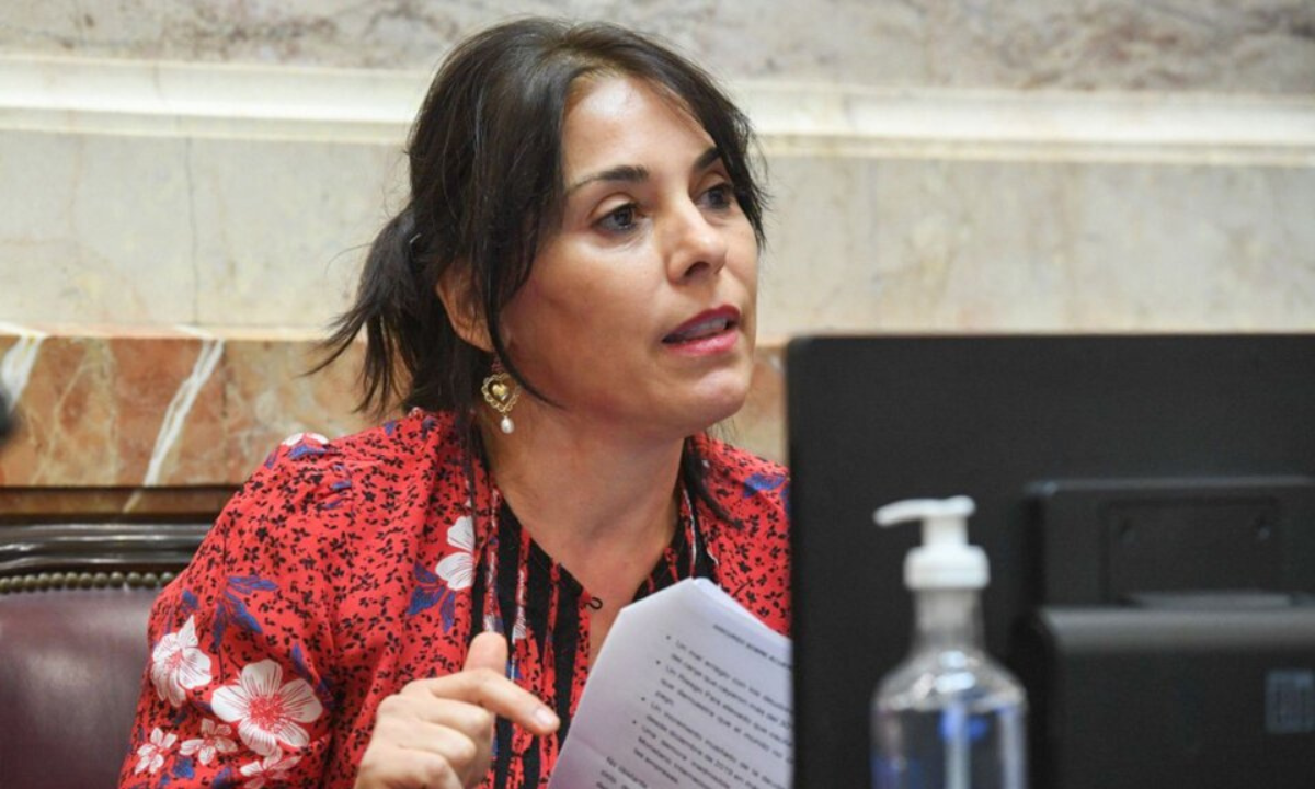 Lucila Crexell aceptó el traspaso a UNESCO, negando vínculo con la Ley Bases • Canal C