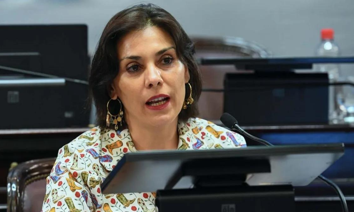 Lucila Crexell aceptó el traspaso a UNESCO, negando vínculo con la Ley Bases • Canal C