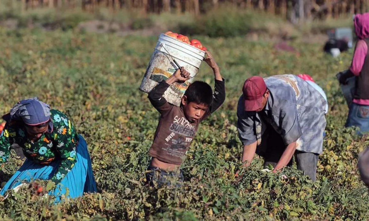 12 de junio | Día Mundial contra el Trabajo Infantil: un llamado urgente a la acción • Canal C