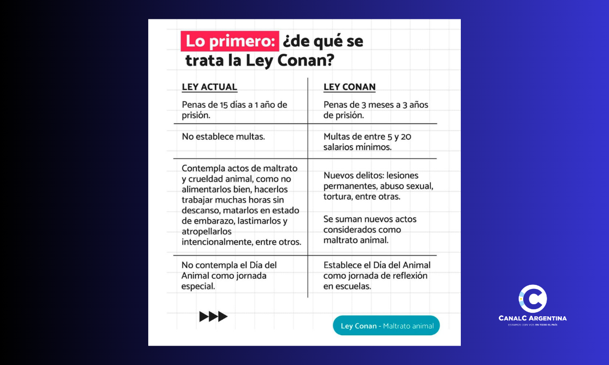 Diputados debatirá la "Ley Conan" con el respaldo de Javier Milei: ¿De qué se trata? • Canal C